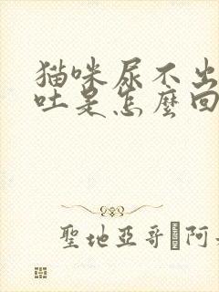 猫咪尿不出尿还吐是怎么回事