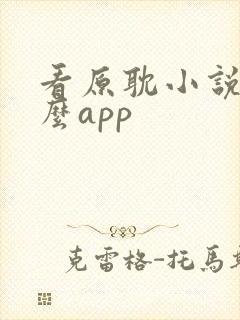 看原耽小说用什么app