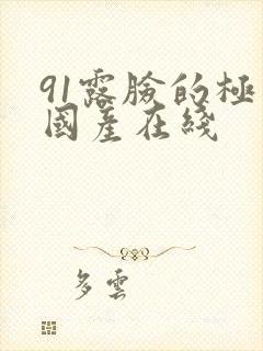 91露脸的极品国产在线封面