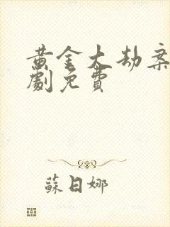 黄金大劫案电视剧免费封面