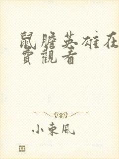 鼠胆英雄在线免费观看