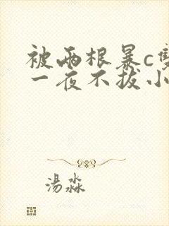 被两根暴c双性一夜不拔小说封面