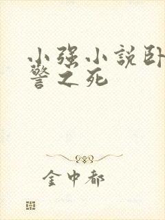 小强小说卧底女警之死