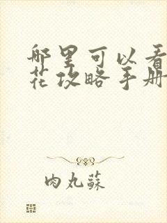 哪里可以看黑莲花攻略手册漫画