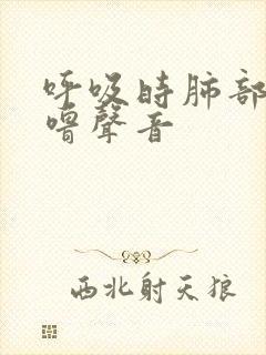 呼吸时肺部有呼噜声音