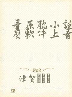 看原耽小说在什么软件上看