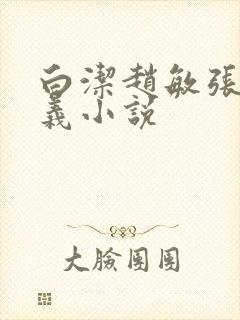 白洁赵敏张倩高义小说