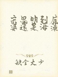 宋思明到底爱老婆还是海藻封面