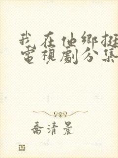 我在他乡挺好的电视剧分集剧情介绍