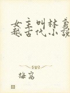女主叫林鸢的穿越古代小说