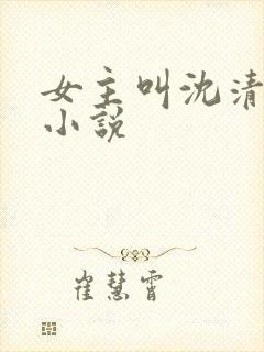 女主叫沈清禾的小说