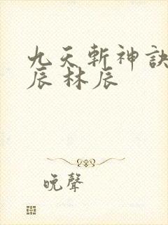 九天斩神诀 林辰 林辰封面