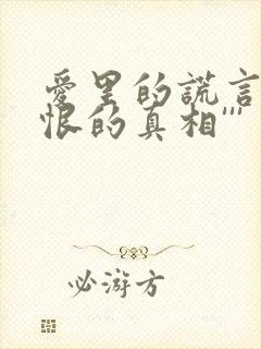 爱里的谎言,仇恨的真相'''