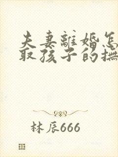 夫妻离婚怎样争取孩子的抚养权封面