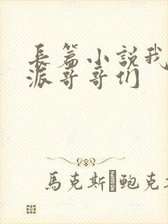 长篇小说我的反派哥哥们