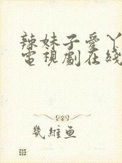 辣妹子爱丫爱丫电视剧在线观看封面