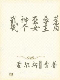 武神至尊叶风有几个女主角