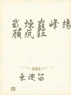 武炼巅峰杨开苏颜疯狂封面