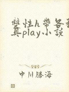 双性h带各种道具play小说
