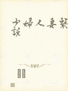 少妇人妻系列小说