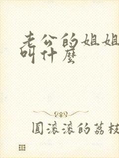 老公的姐姐孩子叫什么封面