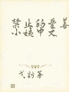 禁止的爱善良的小姨中文封面