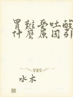 胃难受吐酸水是什么原因引起的