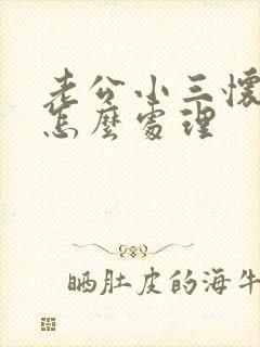 老公小三怀孕了怎么处理