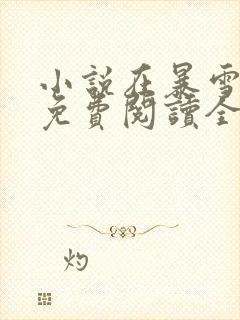 小说在暴雪时分免费阅读全文无窗口