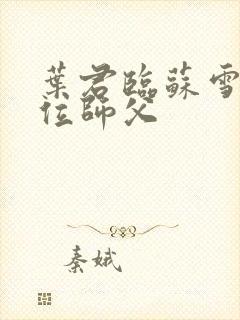 叶君临苏雪儿九位师父封面