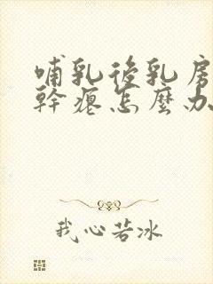 哺乳后乳房下垂干瘪怎么办封面