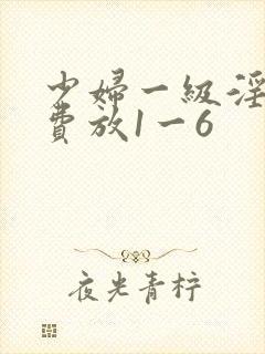 少妇一级淫片免费放1一6