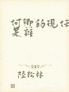 何卿的现任丈夫是谁封面