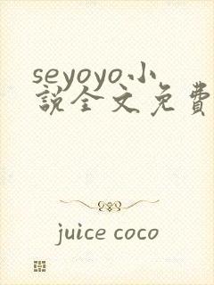 seyoyo小说全文免费阅读笔趣阁