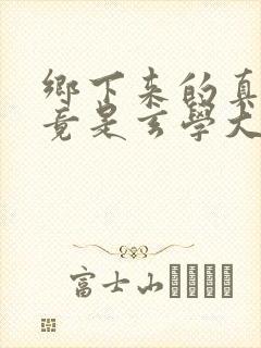 乡下来的真千金竟是玄学大佬