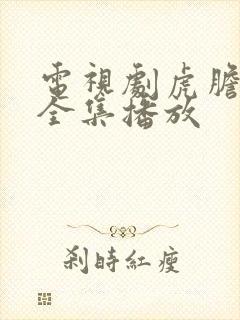 电视剧虎胆雄心全集播放封面