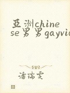 亚洲chinese男男gayvideo