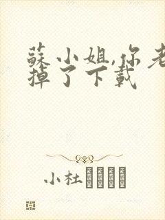 苏小姐,你老公掉了下载封面