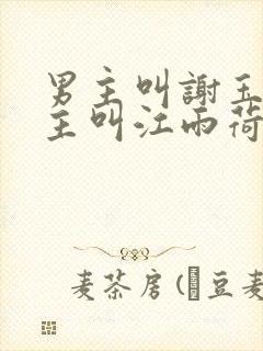 男主叫谢玉,女主叫江雨荷的小说封面