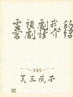 电视剧我的特一营剧情介绍封面