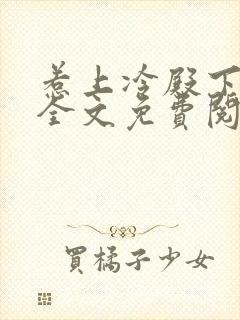 惹上冷殿下小说全文免费阅读封面