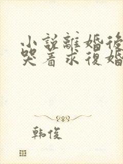 小说离婚后前夫哭着求复婚阅读