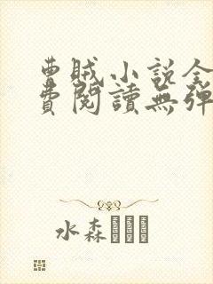 曹贼小说全文免费阅读无弹窗封面