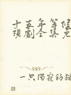 十五年等候鸟电视剧全集免费