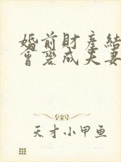 婚前财产结婚后会变成夫妻共同财产吗