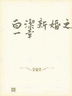 白洁新婚之夜第一章