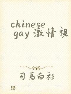 chinese gay 激情视频