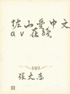 佐山爱中文字幕aⅴ在线