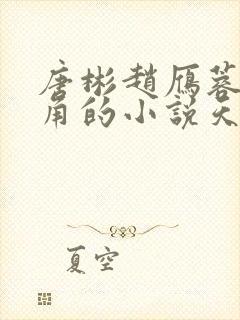 唐彬赵雁蓉是主角的小说天上人间