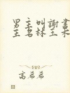 男主叫谢书淮女主名林玉禾的小说